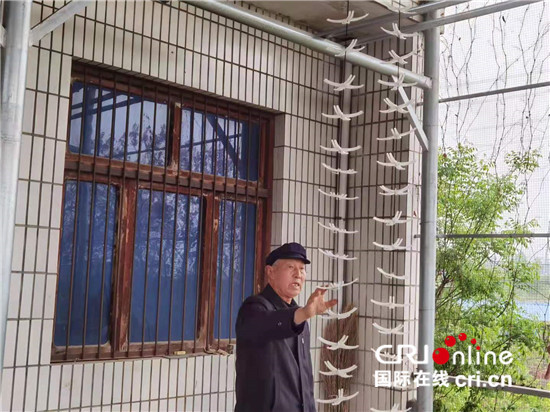 【中國有約】陜西省富平縣:干“柿”業(yè)發(fā)“羊”財 建設美麗鄉(xiāng)村_fororder_2