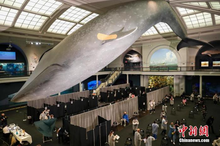 �Y�ψD����(d��ng)?sh��)ؕr(sh��)�g4��23����λ�ڼ~�s������(gu��)��Ȼ�vʷ�����^�_(k��i)���נ�˹̹���������d���¹�����ӷN�c(di��n)����18�q���ϵļ~�s����ӷN�¹�������ԓ�^��(bi��o)־�Եĵ��{(l��n)�Lģ�ͱ��N���˾��̈́�(chu��ng)���N���Ą�(l��)��ǰ��(l��i)�ӷN������ <a target='_blank' ><p  align=