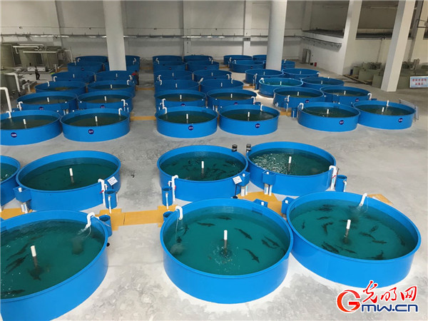 ����(qi��ng)���Ј� ���|(zh��)���l(f��)չ�����󡿰l(f��)����������������棬�в������D(zhu��n)�Ͱl(f��)չ�M(j��n)�Еr