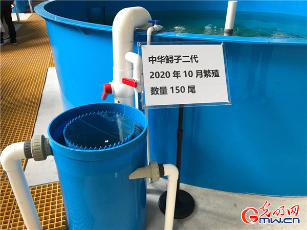 ����(qi��ng)���Ј� ���|(zh��)���l(f��)չ�����󡿰l(f��)����������������棬�в������D(zhu��n)�Ͱl(f��)չ�M(j��n)�Еr