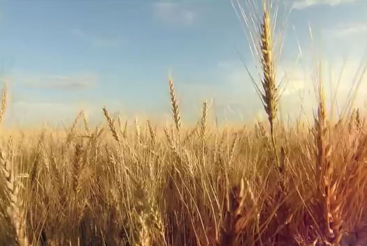 �c(di��n)������