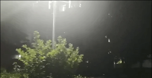 11��������ƽ�L(f��ng)���꼱��