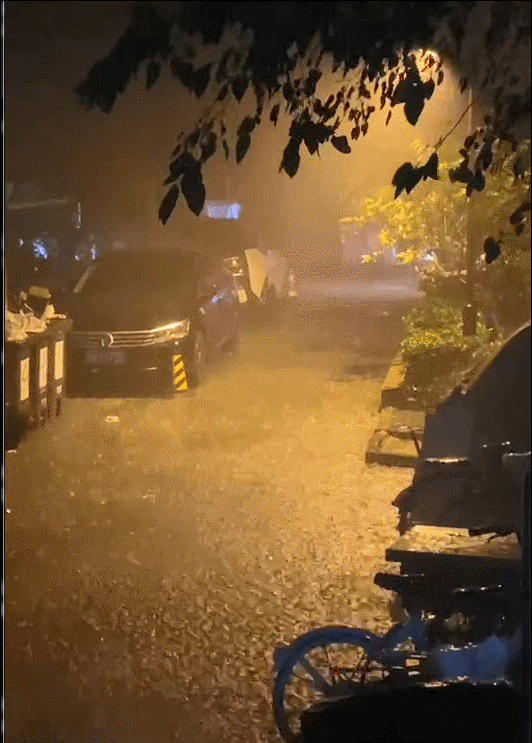 12���賿�����������Ĕz��