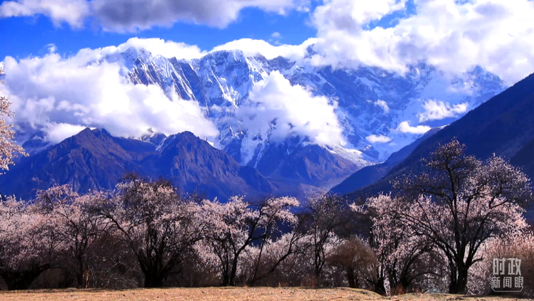 �r������ح����ӛ����֮�����@Щ����(ji��)ӳ������