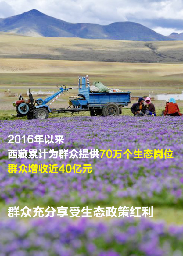 ������(b��o)��һ�M��(sh��)���������Gɫ���ء������B(t��i)�ֵ