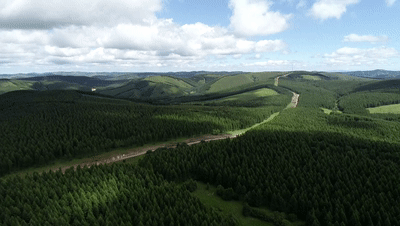 �r(sh��)������ح�����M�P(gu��n)�I�~����(x��)��ƽ����ӛ�е�֮��