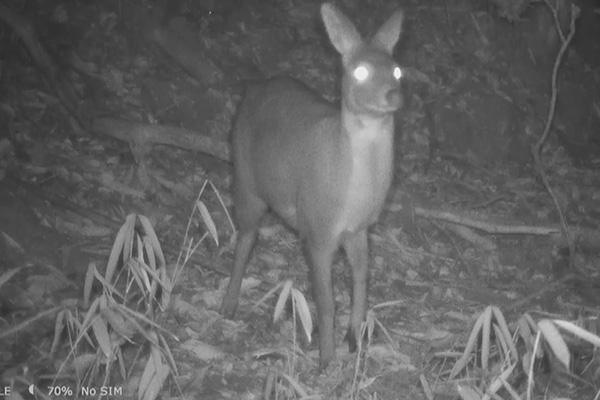 2021��8��25���Ĕz��������ĸ��Ӱ���������h��ý�w���Ĺ��D