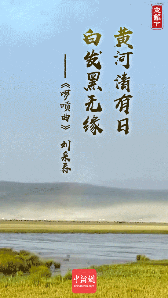 ��ĸ�H���ϵ��Ї�(gu��)����Щ����ֲ�҂�ӛ���е�Ԋ(sh��)�~����S�ӡ���