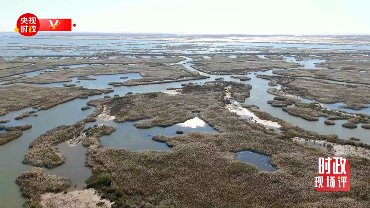 �r(sh��)���F(xi��n)��(ch��ng)�u(p��ng)ح���S����ӛ���_�� ������ڿ�����S�ӵľG�c�H��