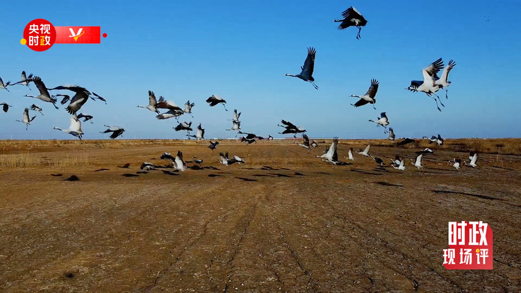 �r(sh��)���F(xi��n)��(ch��ng)�u(p��ng)ح���S����ӛ���_�� ������ڿ�����S�ӵľG�c�H��