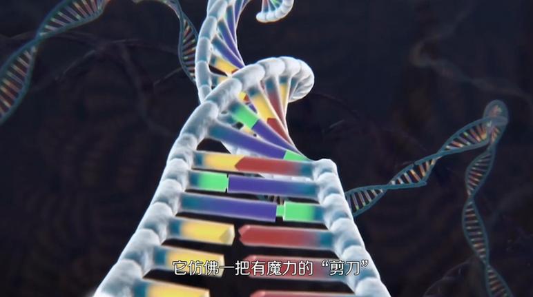 ������۵ć�(gu��)֮����10����ҕ�lح����݋�ľ���(zh��n)��������