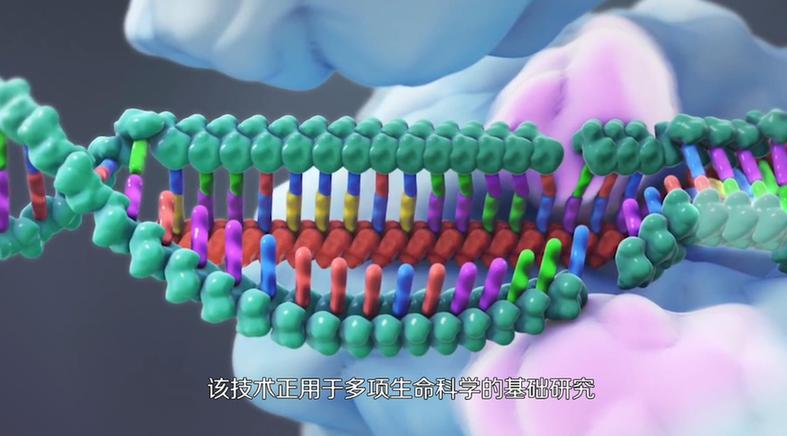 ������۵ć�(gu��)֮����10����ҕ�lح����݋�ľ���(zh��n)��������