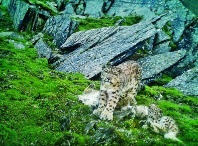 ����؈���ҹ��@�c������ϡҰ����ֲ���������