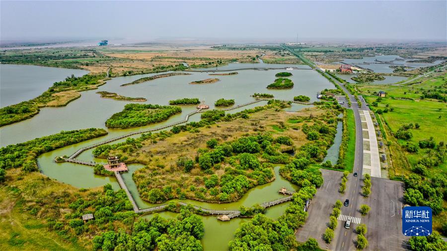 (新華全媒頭條·圖文互動)(3)“讓我們一起向未來”——聆聽習(xí)近平主席2022年新年賀詞