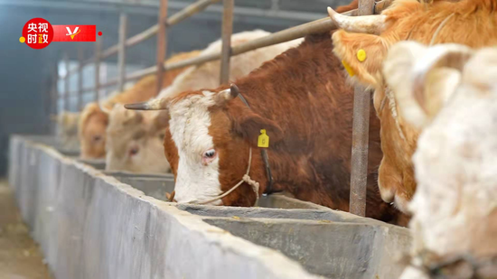  ���δ��B(y��ng)ֳ�I(y��)