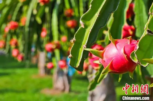 �����l(xi��ng)�ɹ��l(xi��ng)���Ї�(gu��)�Ϸ�ˮ�������½����F(tu��n)��������