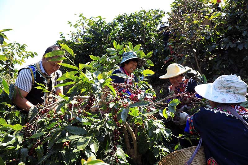 �������ڲ�ժ��������ƽ�z