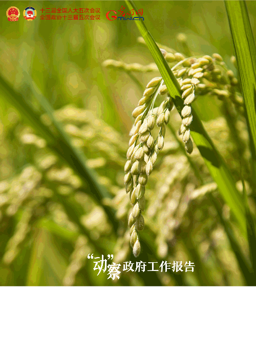 �����ӡ�������������桿2022���@ЩĿ��(bi��o)���ˊ^�M(j��n)��