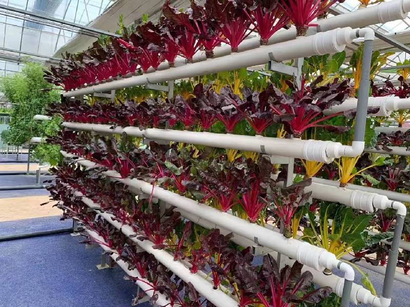 ��(sh��)���l(xi��ng)��֪��Փحȫ��(gu��)�˴�������ϼ����(sh��)�ֻ��(q��)��(d��ng)�l(xi��ng)�����d