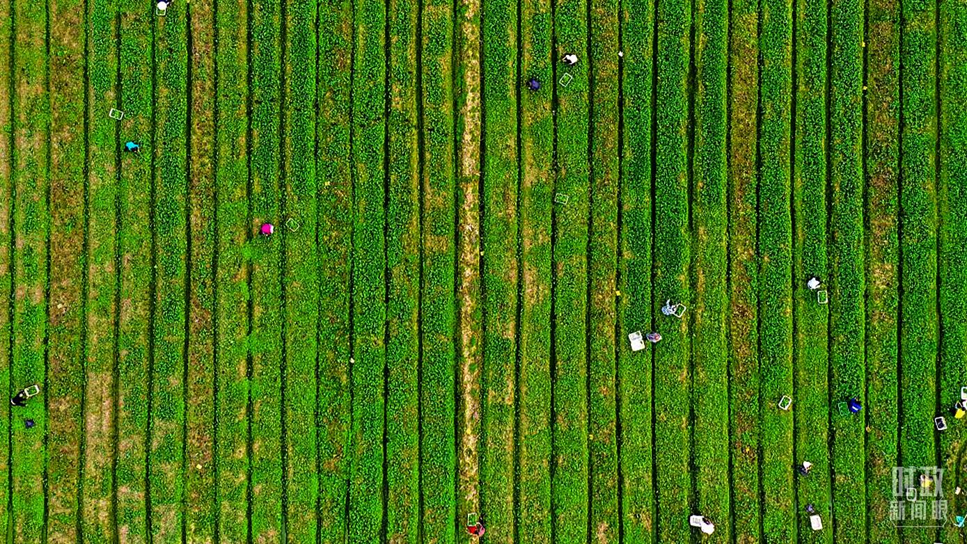 ����������Ҏ(gu��)�����r(n��ng)��־�Ȼ���������D/ҕ�X�Ї���