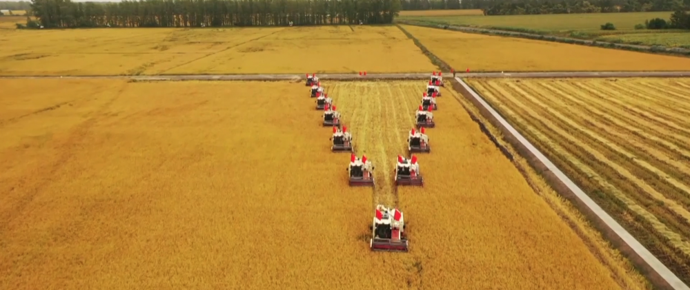 微視頻|深情寄“三農(nóng)”