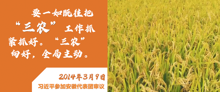 微視頻|深情寄“三農(nóng)”