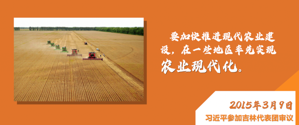 微視頻|深情寄“三農(nóng)”