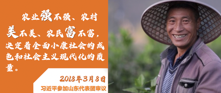 微視頻|深情寄“三農(nóng)”