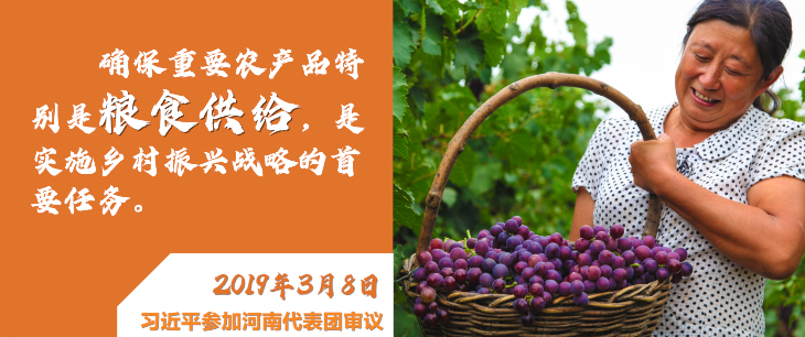 微視頻|深情寄“三農(nóng)”