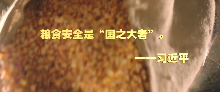 微視頻|深情寄“三農(nóng)”