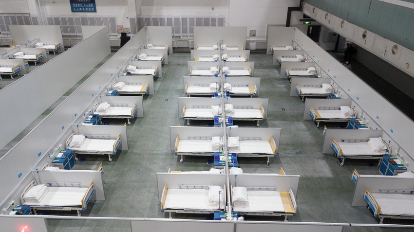 �L(zh��ng)���Ї�(gu��)�H��(hu��)չ���ķ�œ�t(y��)Ժ����Ͷ��ʹ�������P(y��ng)�z