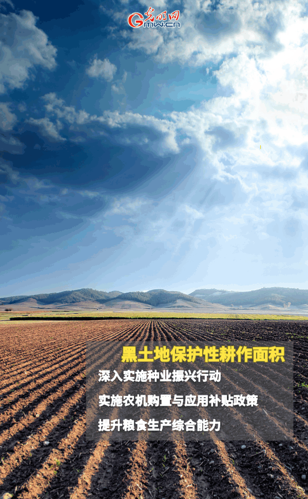 ����(d��ng)�B(t��i)����(b��o)������ȫ��Zʳ�S�գ��@Щ֧���������_����