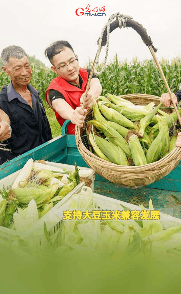 ����(d��ng)�B(t��i)����(b��o)������ȫ��Zʳ�S�գ��@Щ֧���������_����