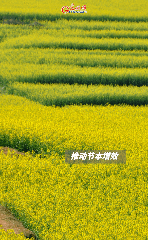 ����(d��ng)�B(t��i)����(b��o)������ȫ��Zʳ�S�����@Щ֧���������_�ˣ�