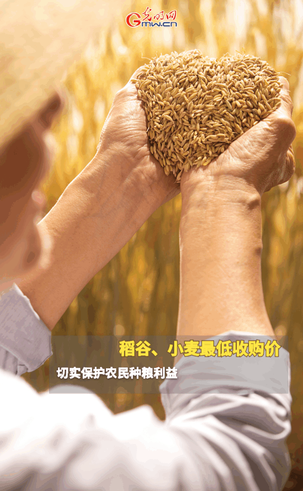 ����(d��ng)�B(t��i)����(b��o)������ȫ��Zʳ�S�����@Щ֧���������_����