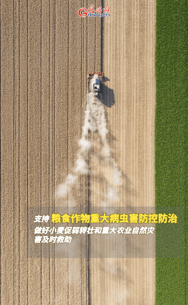 ����(d��ng)�B(t��i)����(b��o)������ȫ��Zʳ�S�գ��@Щ֧���������_����