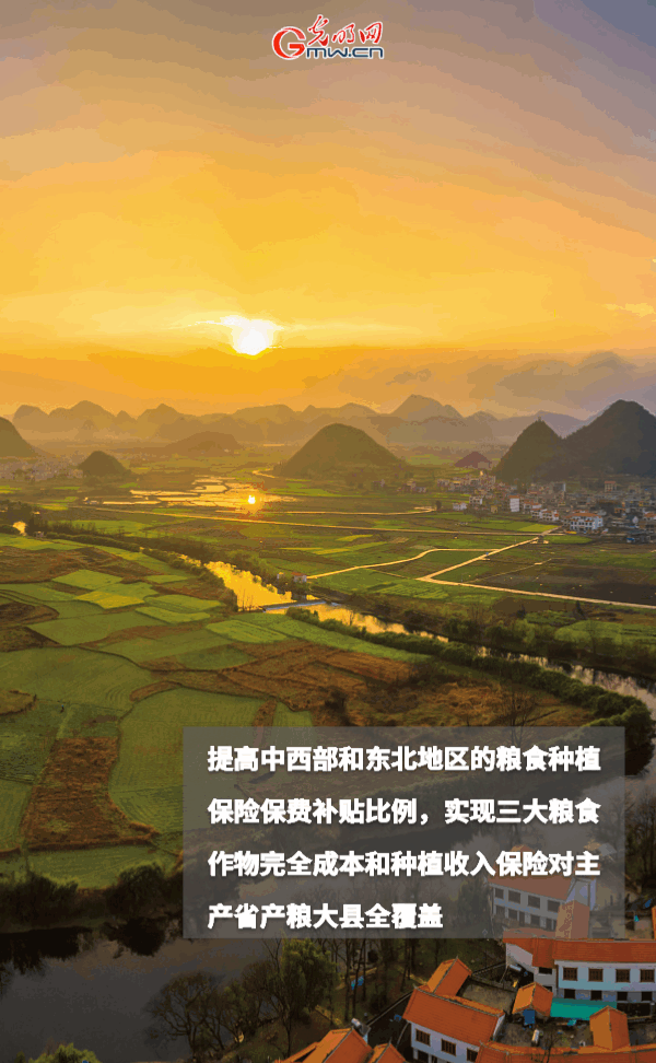 ����(d��ng)�B(t��i)����(b��o)������ȫ��Zʳ�S�����@Щ֧���������_����