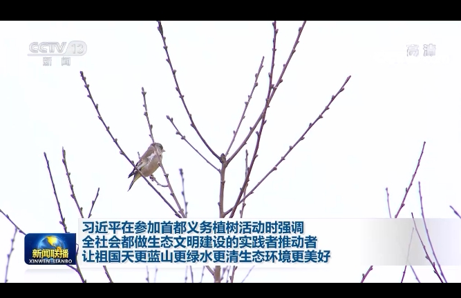 義務植樹 義務植樹