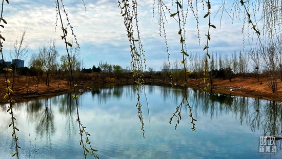 �����@��(n��i)�����䄂��������~�������_��ҕӛ�߳���Ĕz��