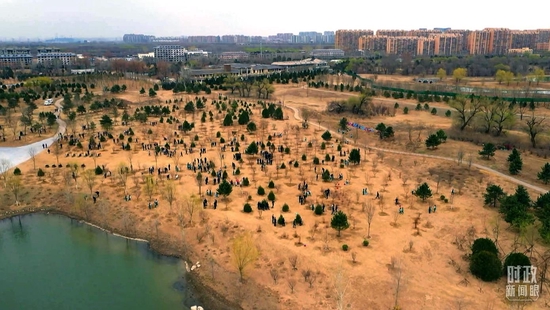 ����(d��ng)����x��(w��)ֲ��F(xi��n)���������_��ҕӛ�ߏ���w�i�Ĕz��