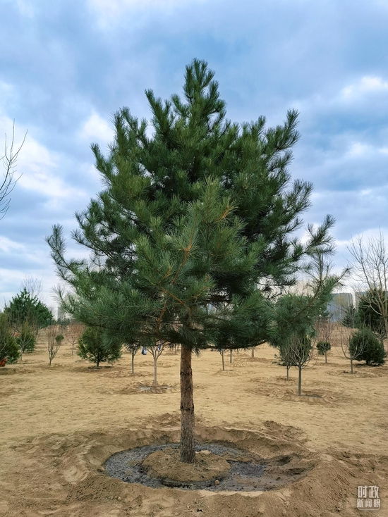 ���@�ǿ���ӛ��(d��ng)��N�µ����ɡ������_��ҕӛ��ʯة�Ĕz��