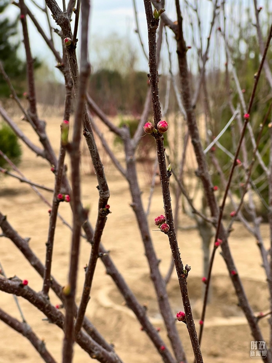  ���ذ����~÷�������_��ҕӛ�ߗ������Ĕz��