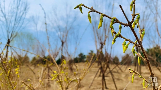 ���B�N�������_��ҕӛ�߷�һ�Q�Ĕz��