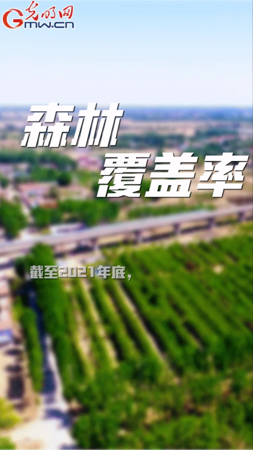 【“動”漫海報】雄安新區(qū):五年奮進加速蝶變 未來之城欣欣向榮