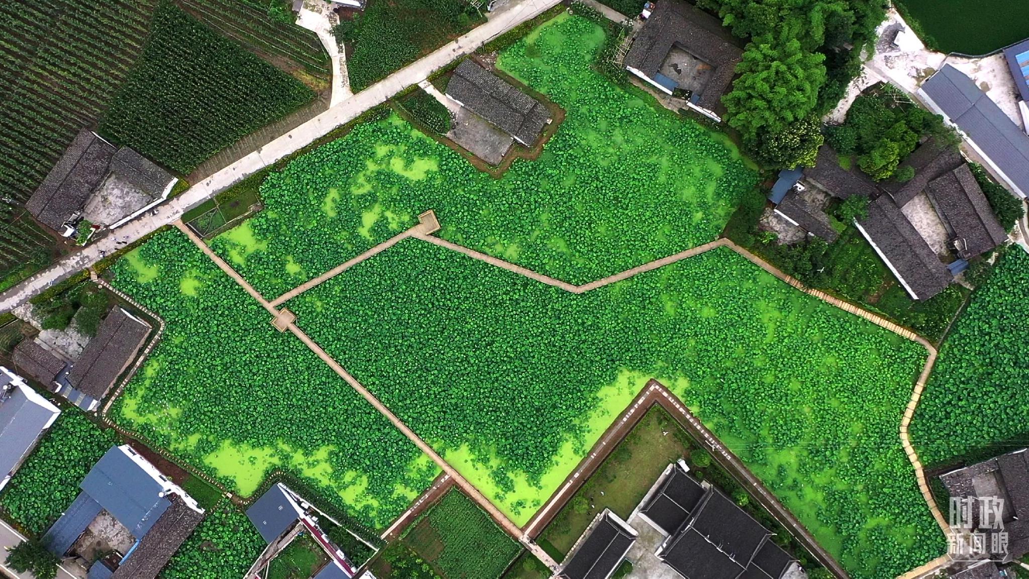 ��������S�塣�����_ӛ���R���Ĕz��