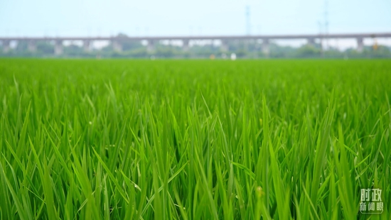  �����S��ĸߘ˜��r���������_��ҕӛ������Ĕz��