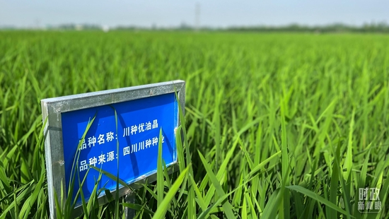  �����S��ȵ�ԇ����������_��ҕӛ���ϱ��Ĕz��