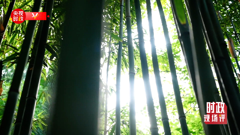 �r(sh��)���F(xi��n)��(ch��ng)�u(p��ng)ح���S����ӛ���_�� �����K���I(l��ng)�Ԗ|���Ļ��Ěv�Ï���