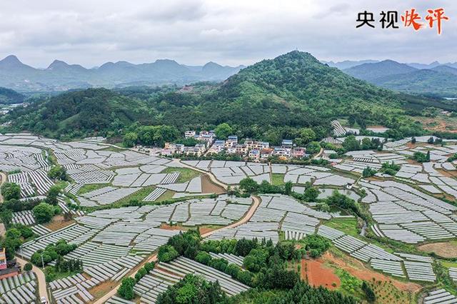 ��ҕ���u(p��ng)ح����؞���°l(f��)չ���� ����(d��ng)�����°l(f��)չ���