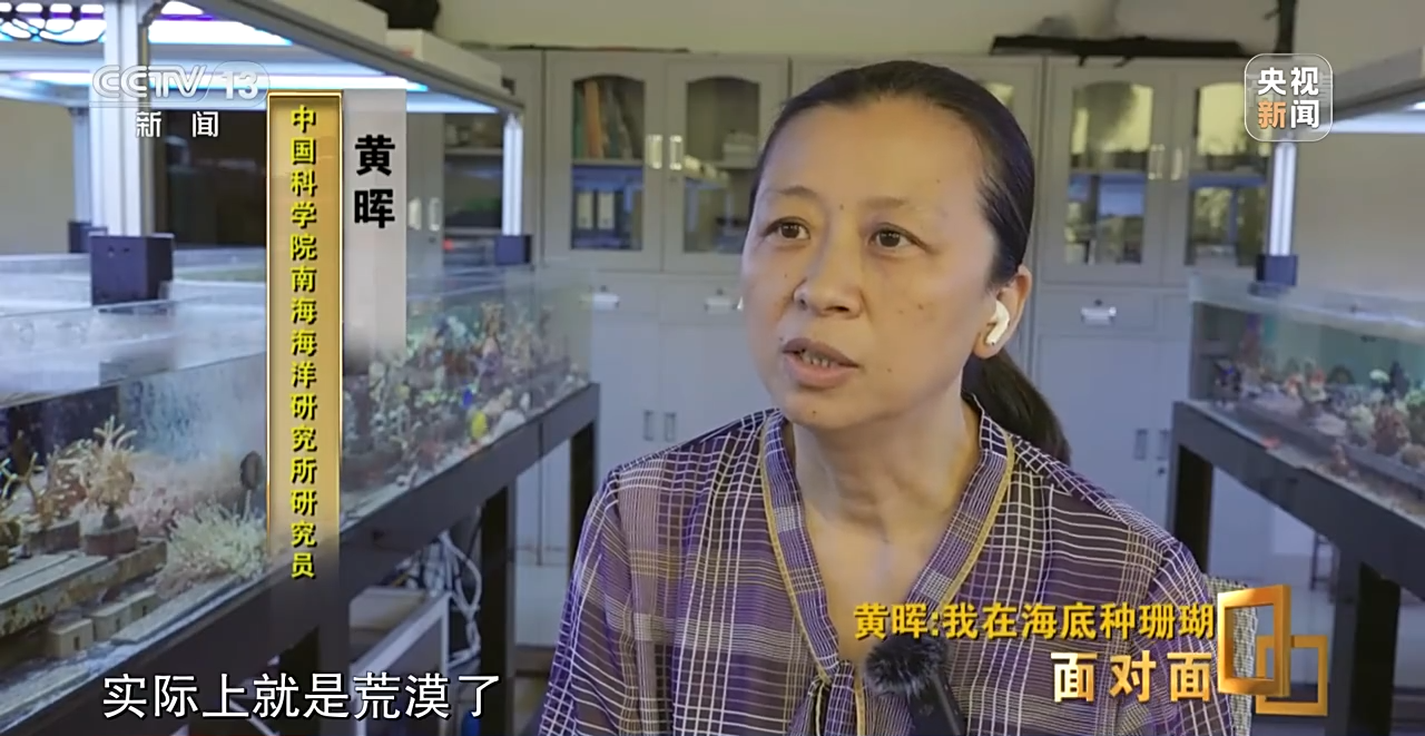 面對(duì)面丨“珊瑚媽媽”黃暉:種出一片“海底森林”